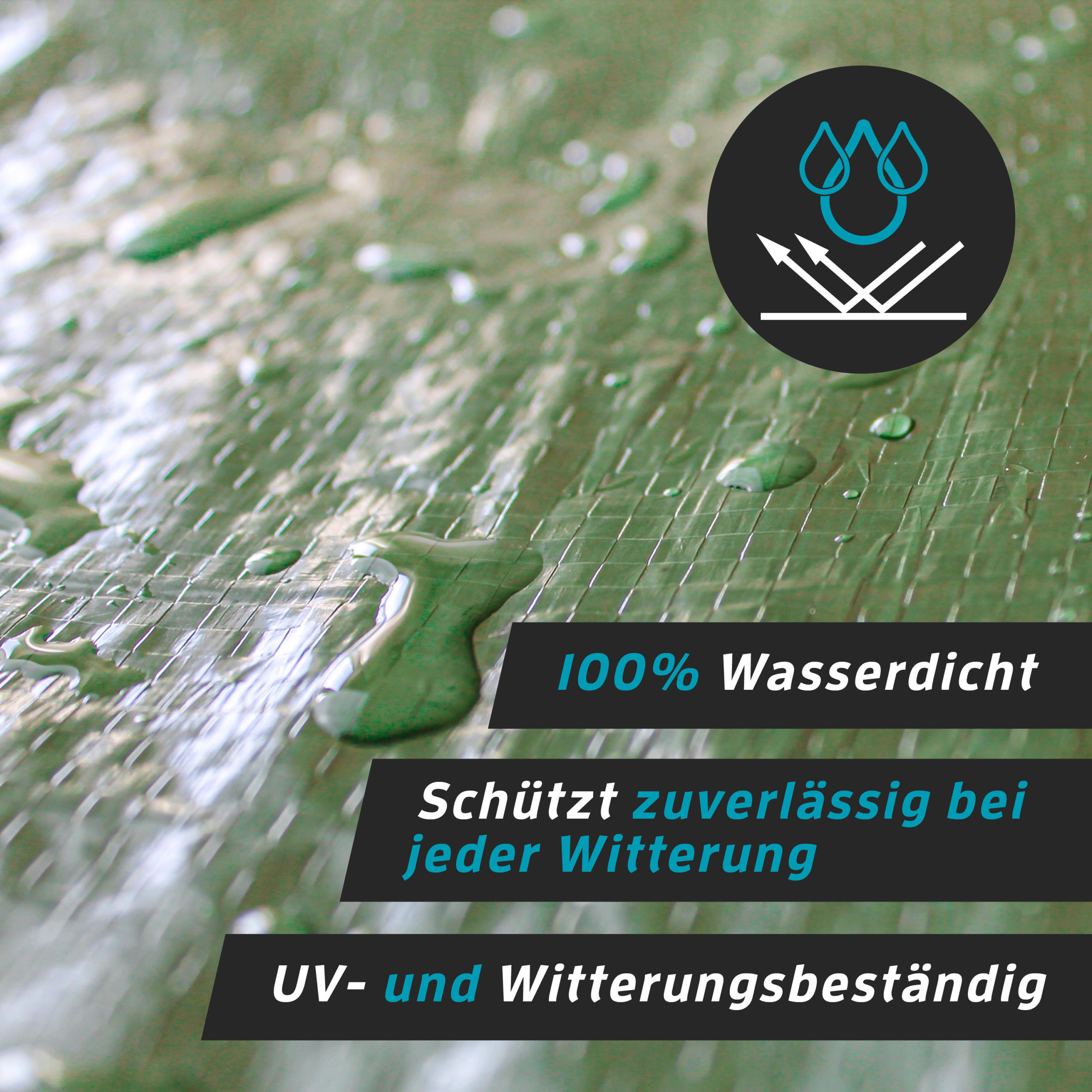 Kaiser-plasic_bilder3-scaled-1.jpg